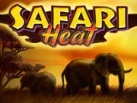 Safari